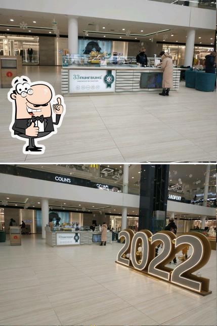 33 Пингвина