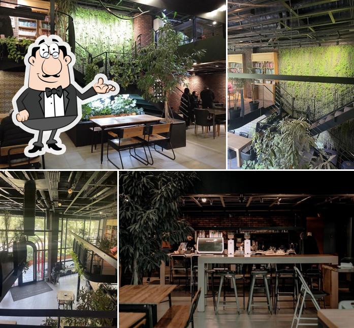 Buchyball Cafe