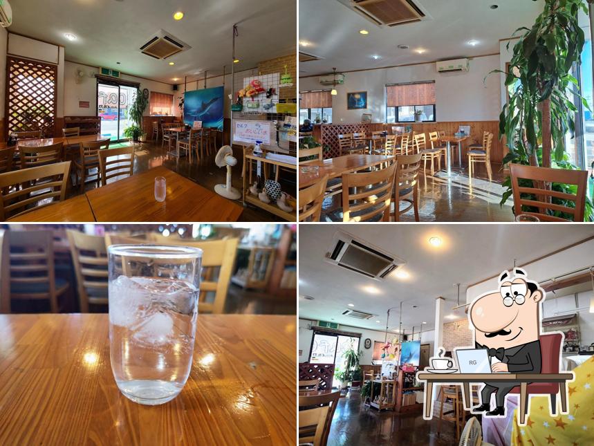 Cafe Iruka