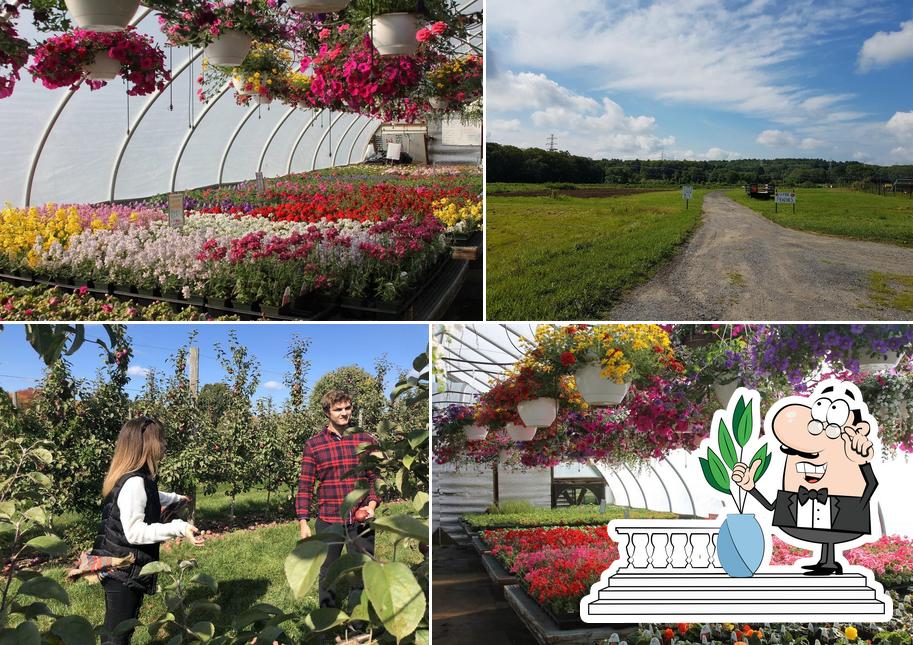 Sunshine Farm
