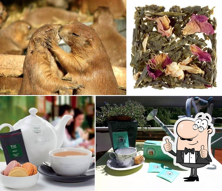 Gourmandises et Tradition