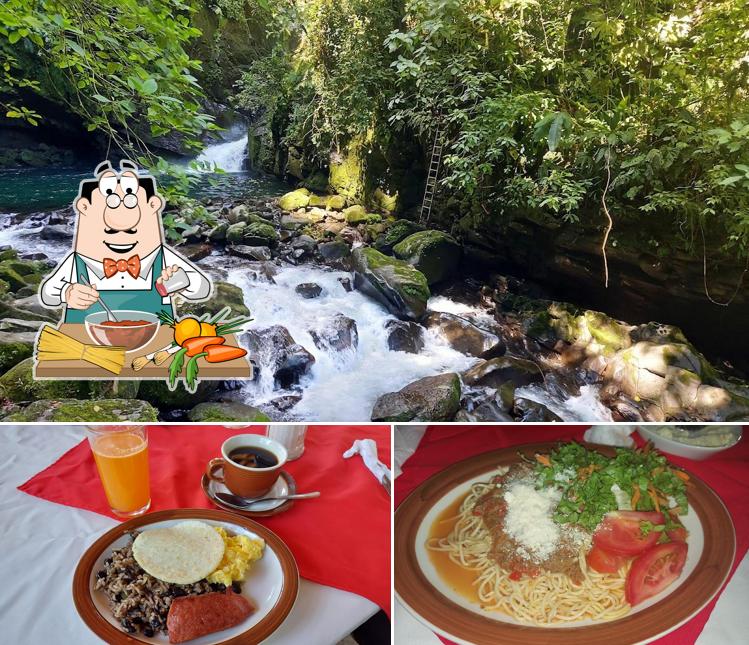 Finca Agroecológica Los Manantiales