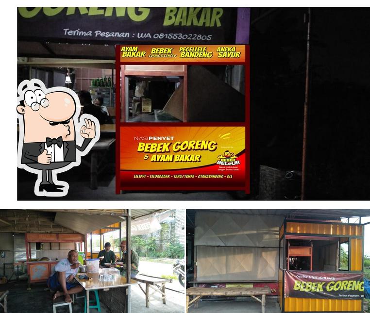 Bebek Beleur