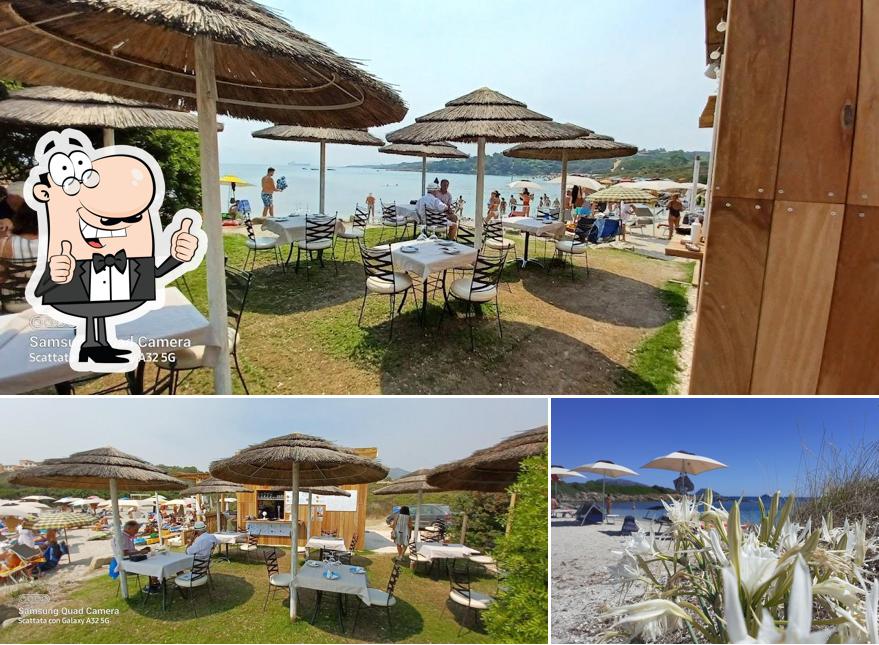 Tiki Beach Club