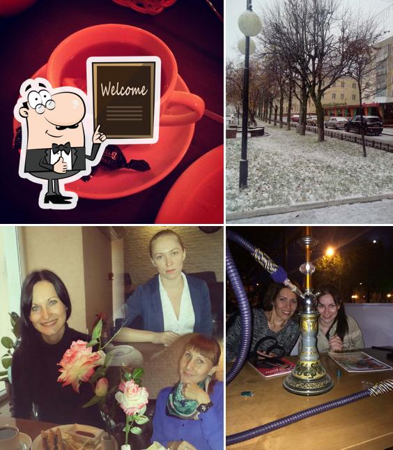 МедельЕмс
