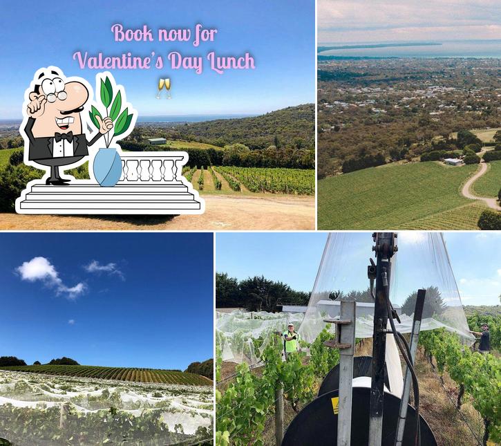 Blue Range Estate Wines