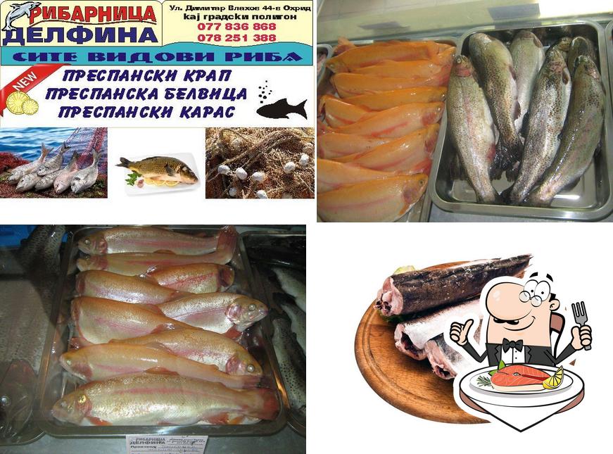 Рибарница Делфина