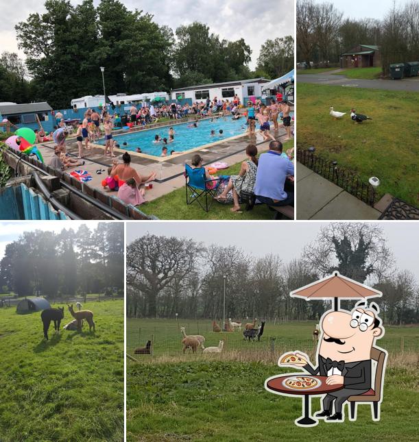 Lower Lacon Caravan Park - J.A.K.K.S. Barn bar