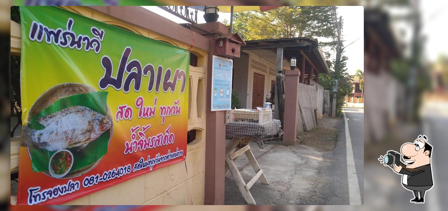 แพร่นาวีปลาเผา