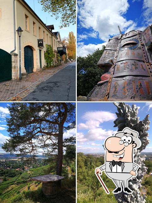 Weingut DREI HERREN
