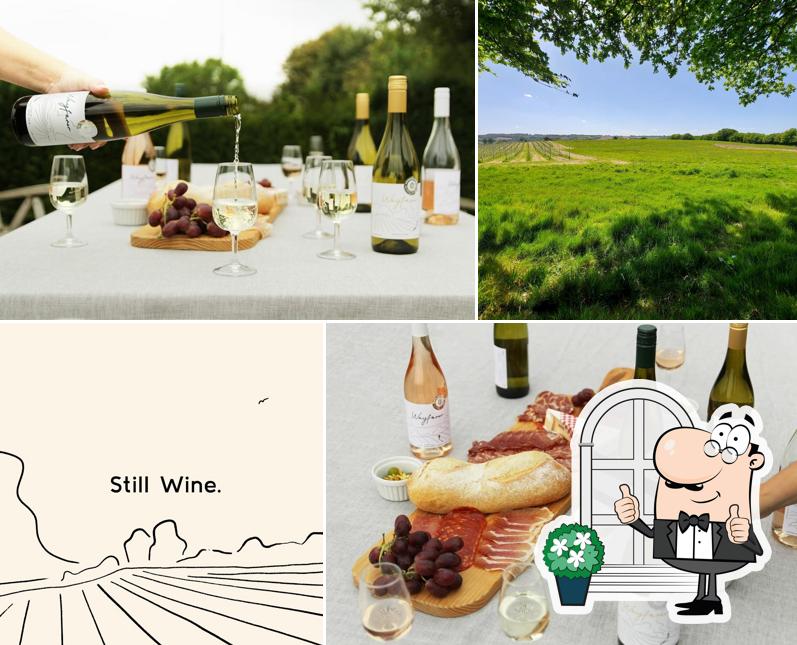 Wayfarer Wines
