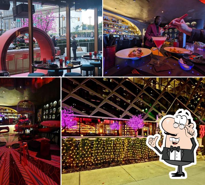 Experience Zuzu, Detroit