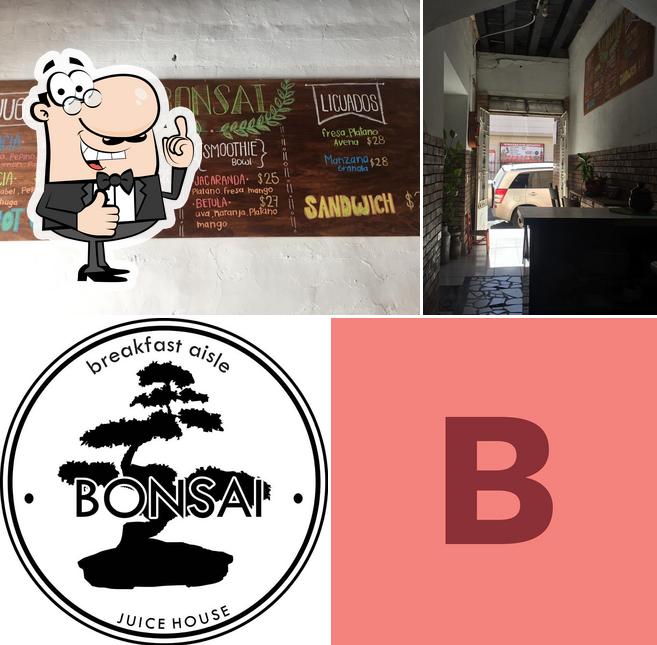 Bonsai
