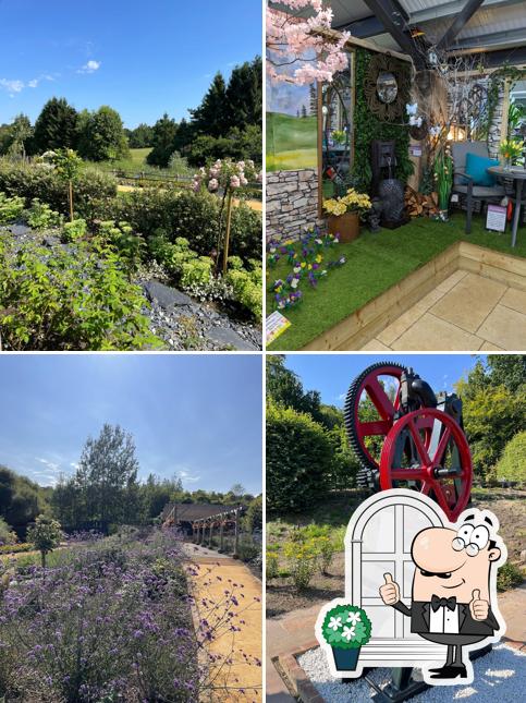 Coolings Wych Cross Garden Centre