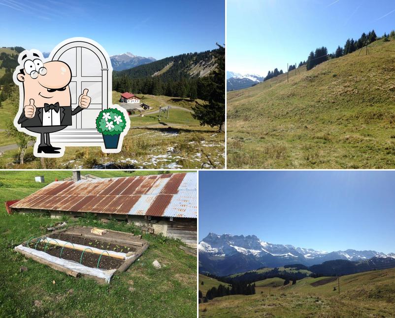 Restaurant Chalet-Neuf
