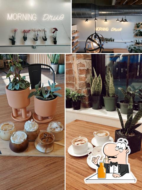 Rooted Plant + Coffee Shop