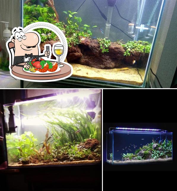 Toya aquatic home