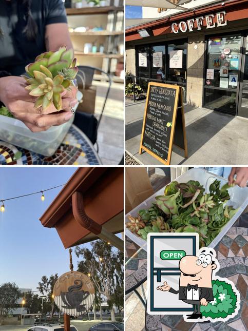 YEE: Plants & Pizza Party