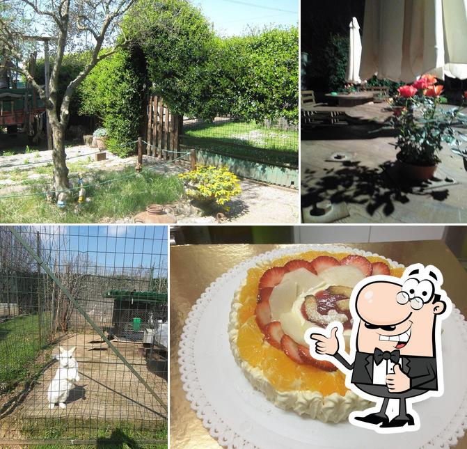 Agriturismo Verde Piu