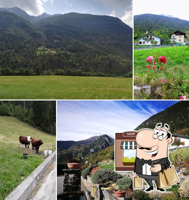 Vecchio Suisse