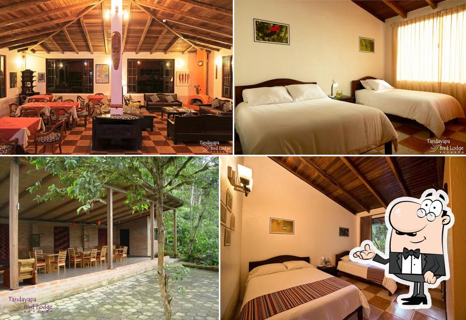 Tandayapa Bird Lodge