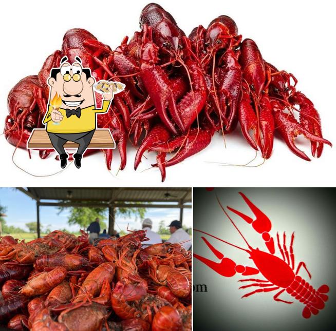 Gulf Coast Crawfish Clear Lake City TX