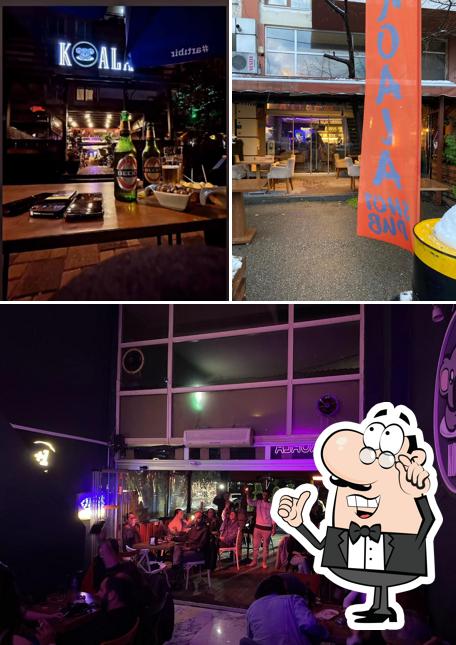 KoalaShotPub
