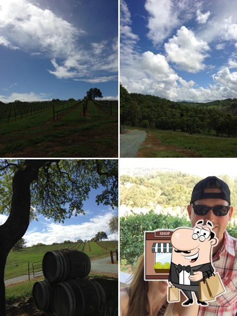 Convergence Vineyards