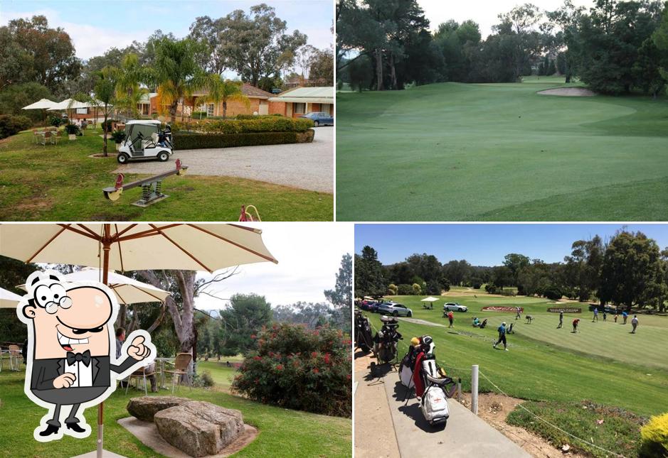 Albury Commercial Golf Club