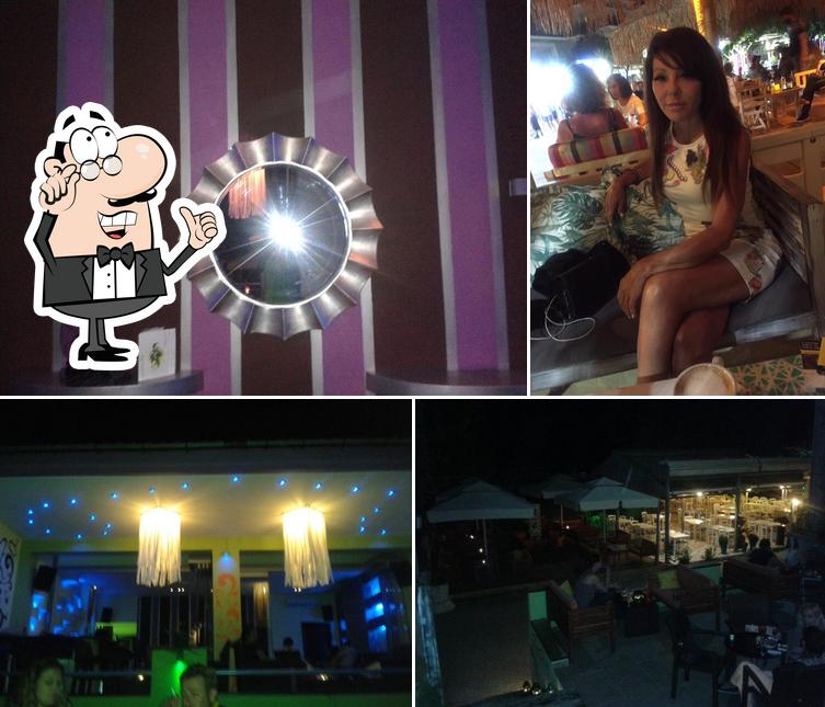 QUEEN BEE BAR
