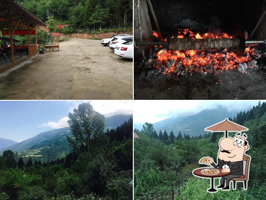 Artvin Yeşil Vadi