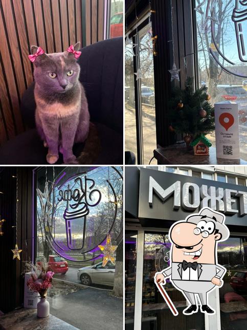 Может Кофе?
