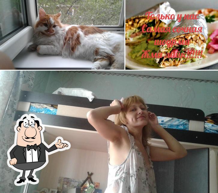 донар шаурма курыгриль