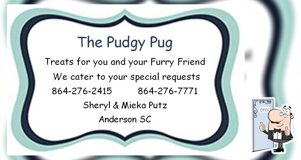The Pudgy Pug
