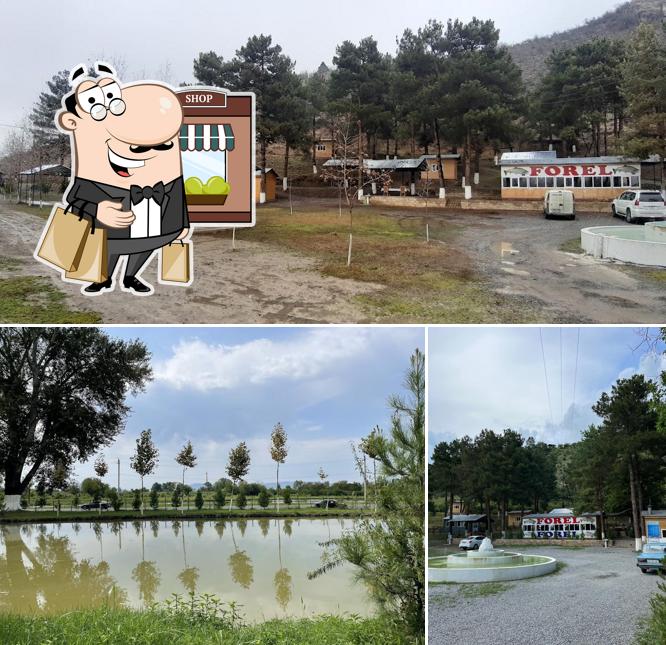 Şəki Forel