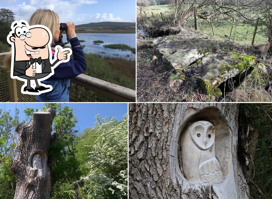 RSPB Leighton Moss