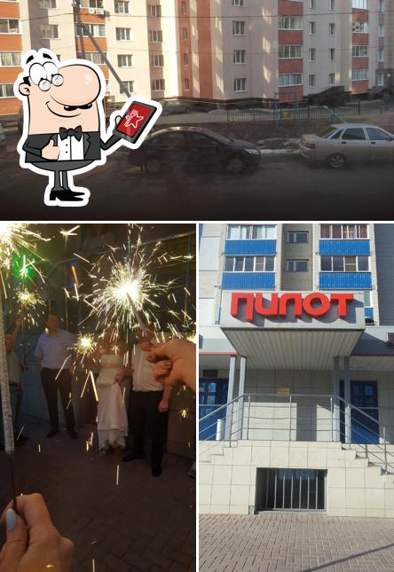 Пилот