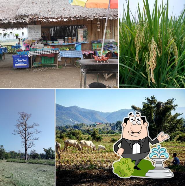 Namfon Somtam