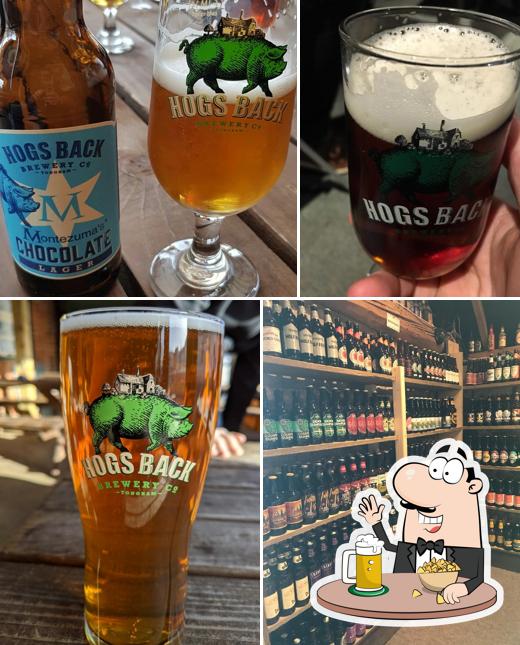 Hogs Back Brewery