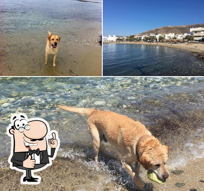 Μπουνταράκι
