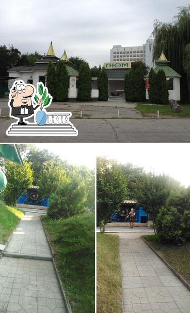 "Гном"
