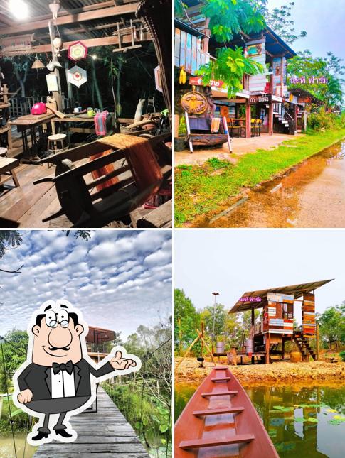 พิซซ่าหัวล้าน@นะทีฟาร์มคาเฟ่