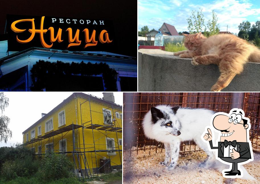 Банкетный комплекс Сойкино