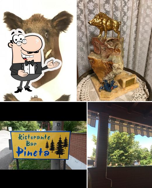 Hotel Pineta