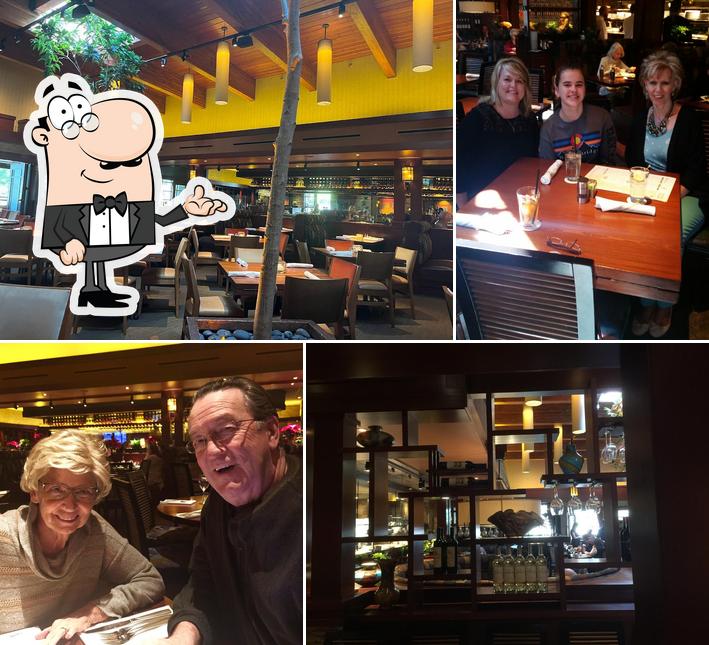 Seasons 52