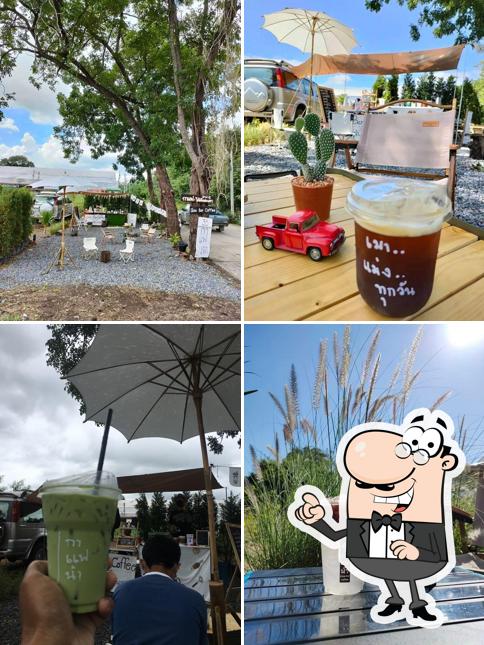 กาแฟน้า ไต้ต้นสะเดา