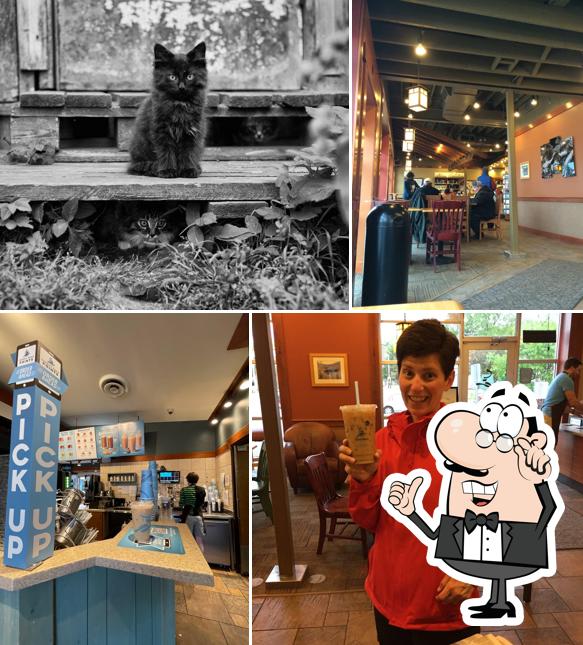 Caribou Coffee