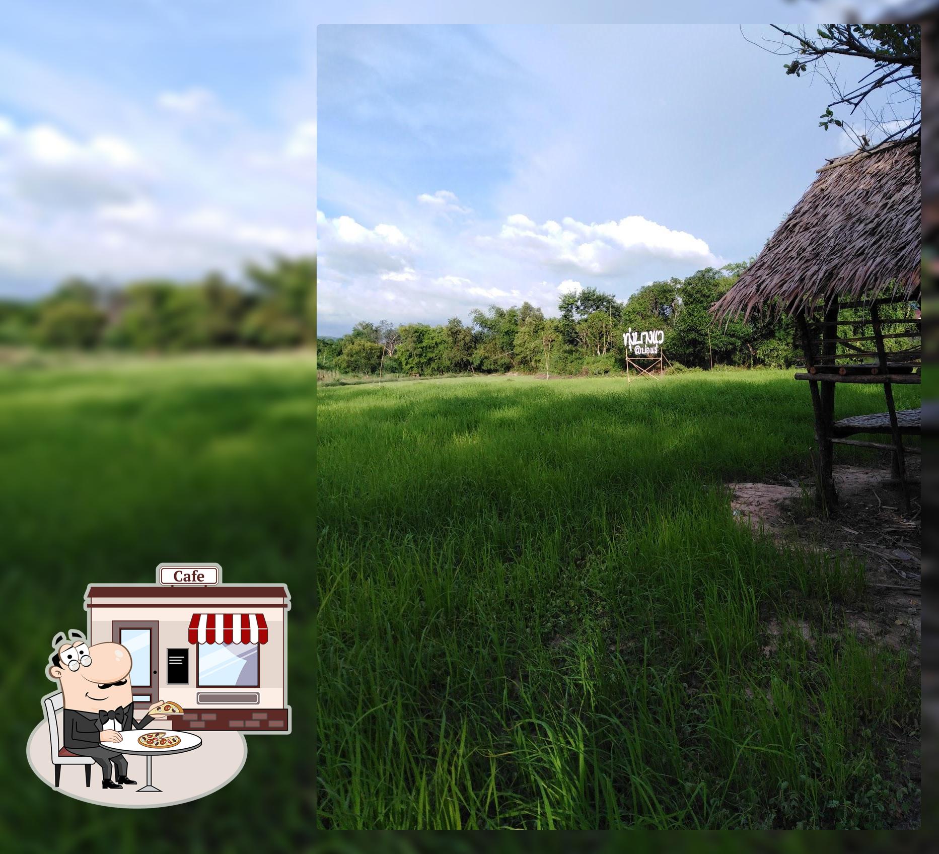 ทุ่งบางแว@บ่อแร่