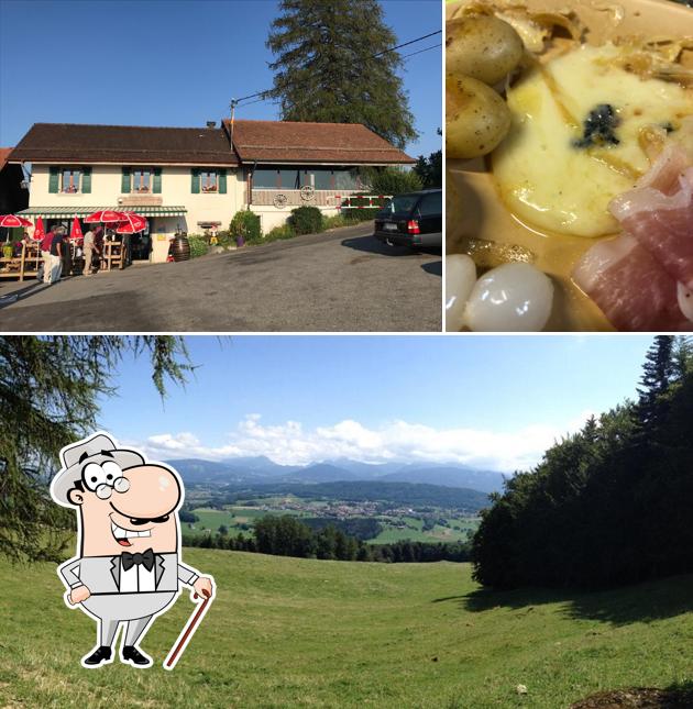 Buvette Mont Cheseau