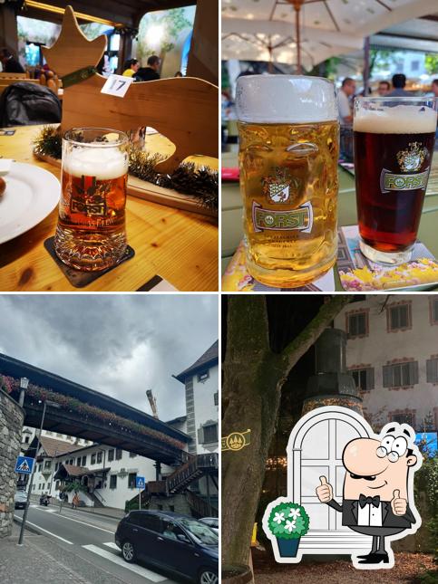 Forster Weihnachtswald